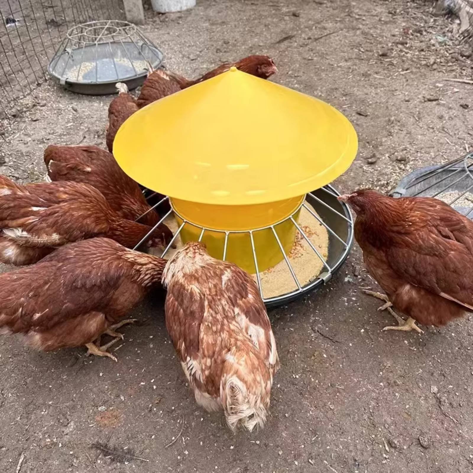 둥근 가금류 먹이통 대용량 가금류 먹이통 닭 먹이통 간 - Feeding 리뷰 및 가격